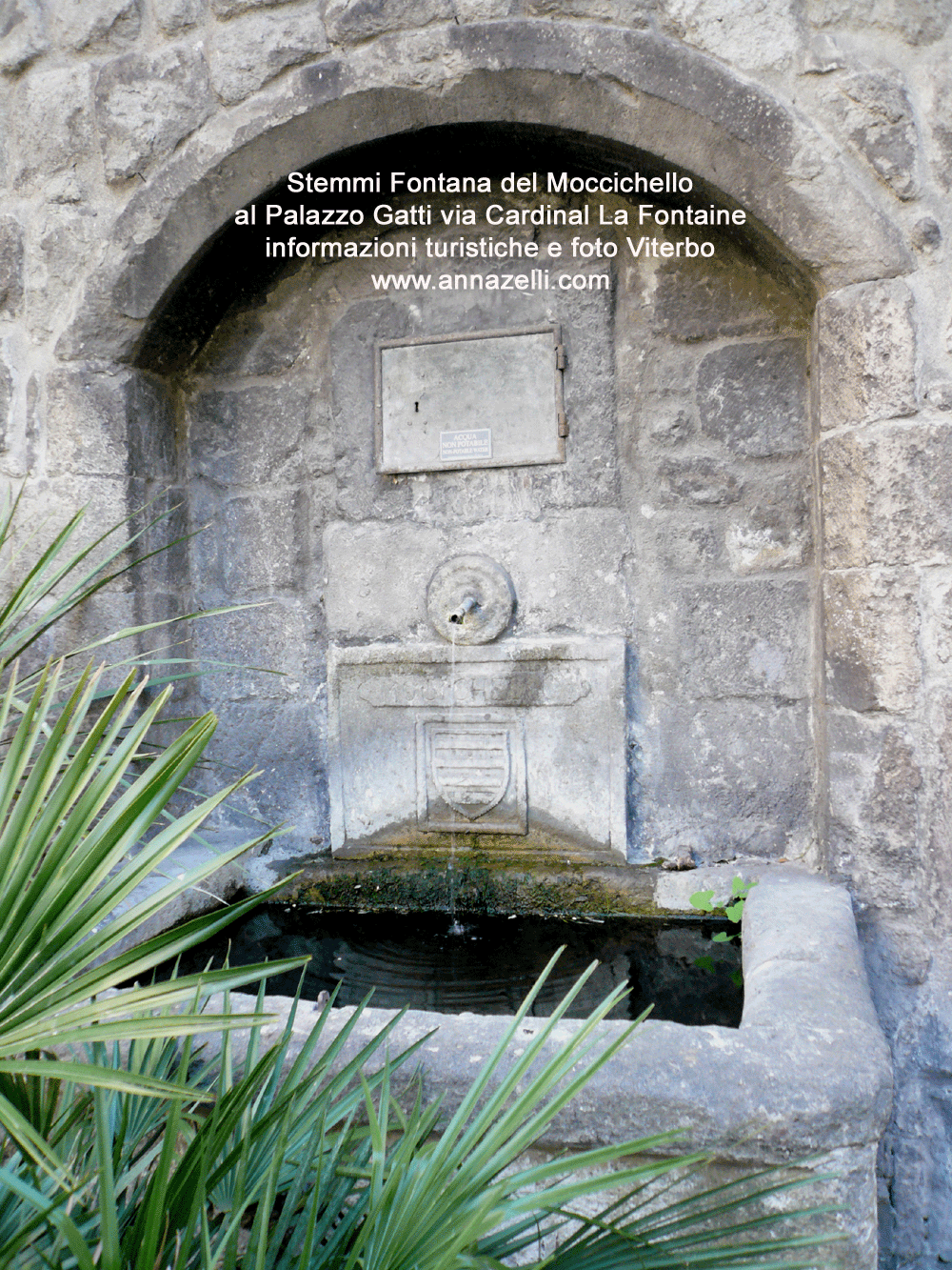 stemmi fontana del moccichello a palazzo gatti via cardinal la fontaine viterbo foto anna zelli