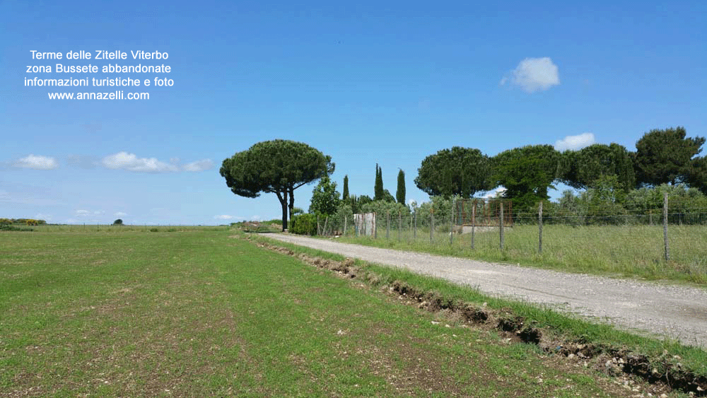 viterbo terme delle zitelle zona bussete abbandonate foto 4