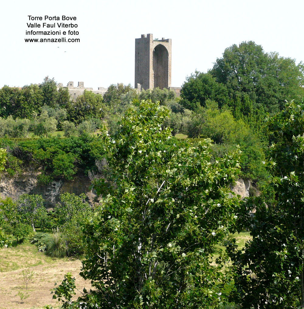 torre porta bove valle faul viterbo informazioni foto anna zelli