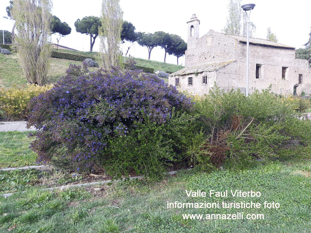 valle faul viterbo centro storico