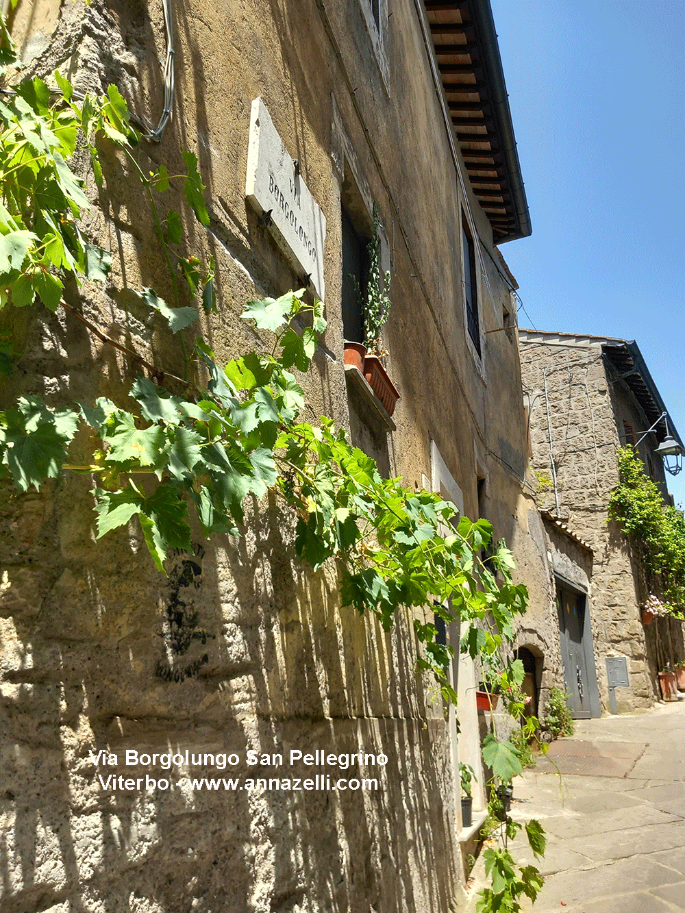 via borgoluno san pellegrino viterbo quartiere medioevale info e foto anna zelli