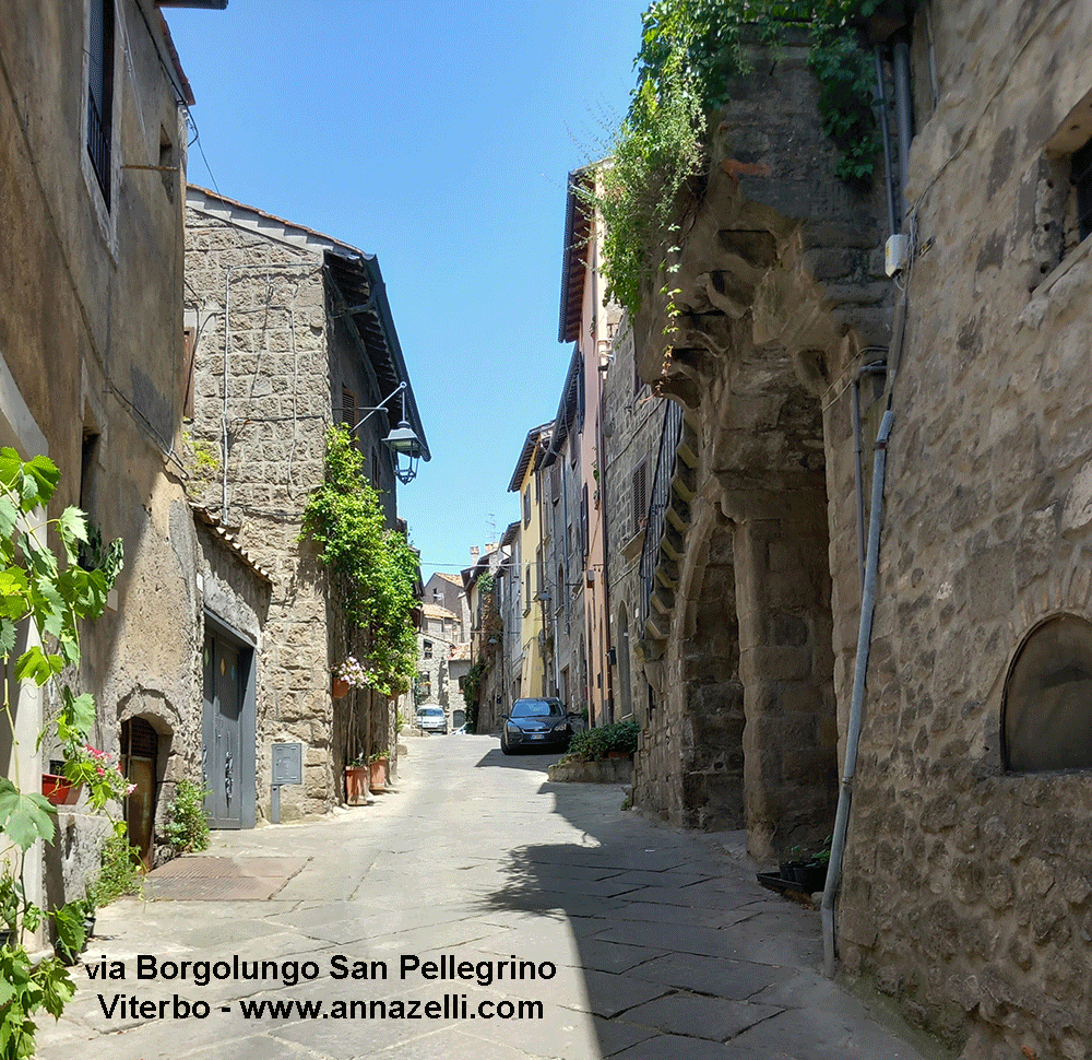 via borgoluno san pellegrino viterbo quartiere medioevale info e foto anna zell