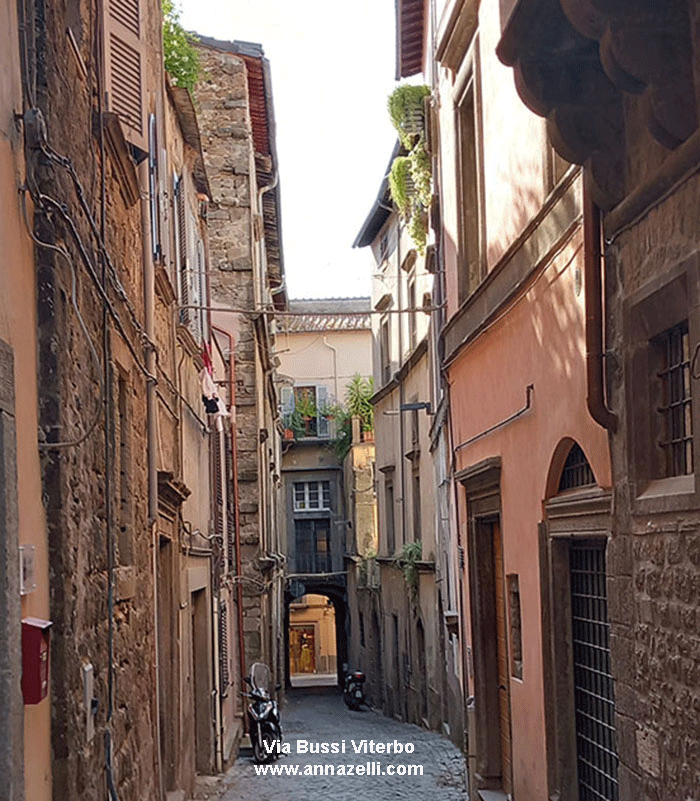 via bussi viterbo centro storico info e foto anna zelli