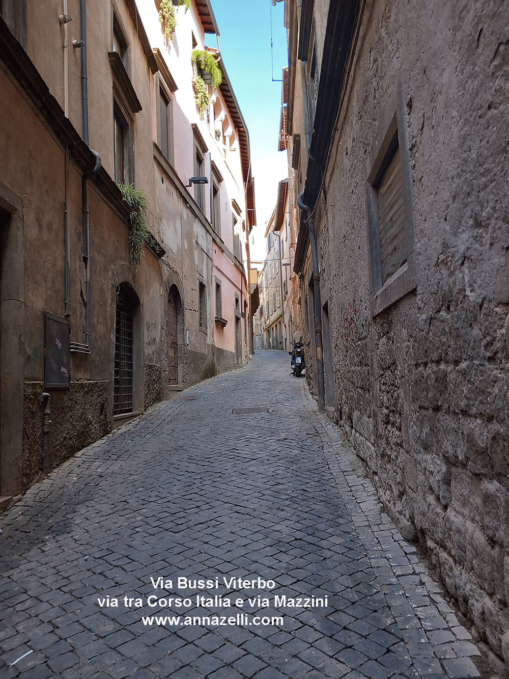 via bussi viterbo centro storico info e foto anna zelli