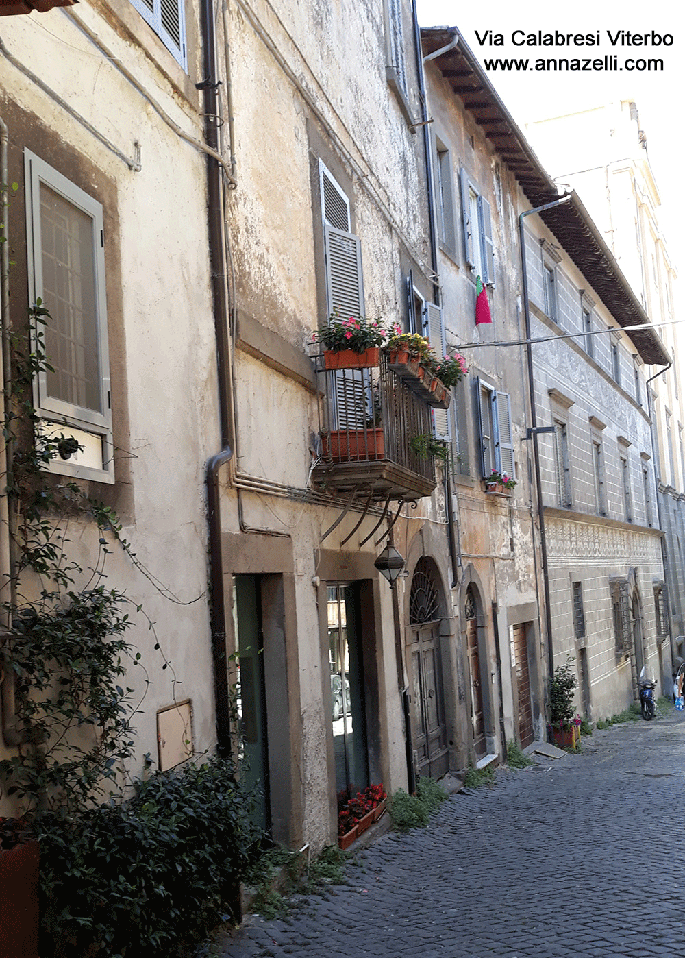 via calabresi viterbo centro info e fto anna zelli