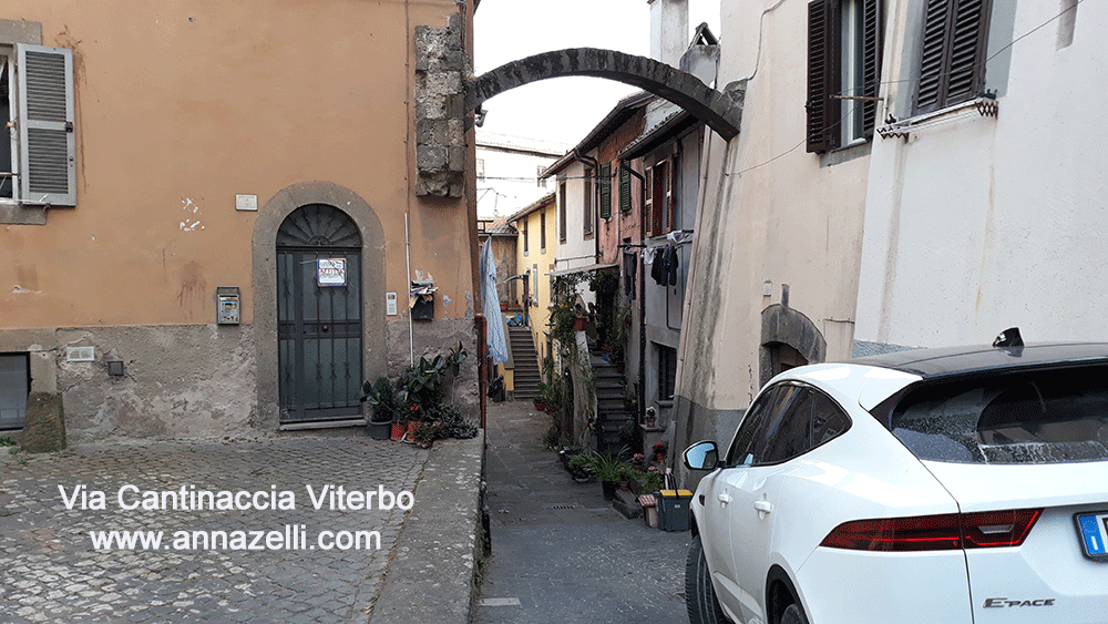 via cantinaccia viterbo centro storico info e foto anna zelli