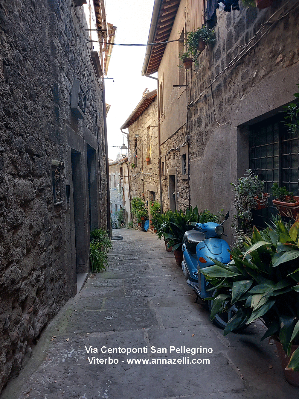 via centoponti san pellegrino viterbo centro storico foto info anna zelli