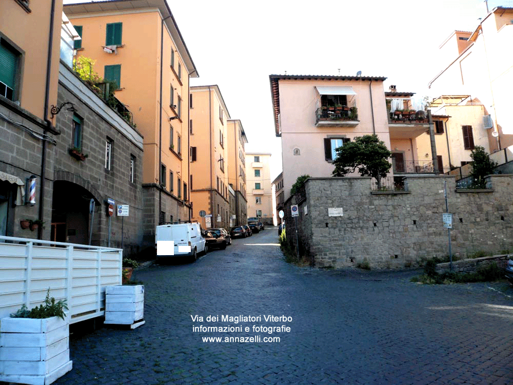 via dei magliatori viterbo centro storico info e foto anna zelli