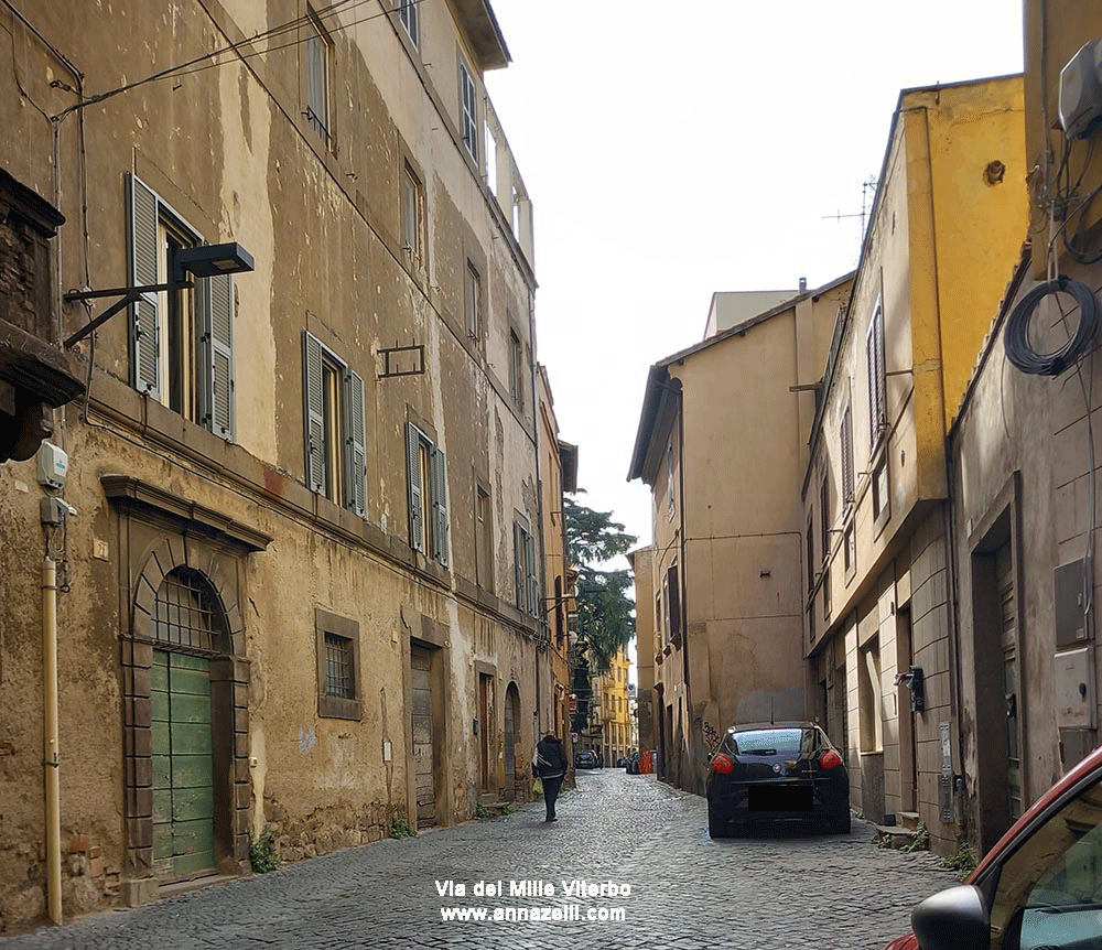 via dei mille viterbo info e foto anna zelli