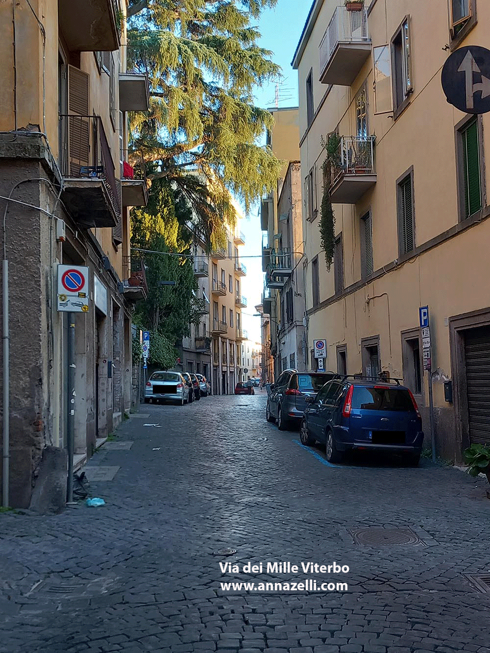 via dei mille viterbo centro storico info e foto anna zelli