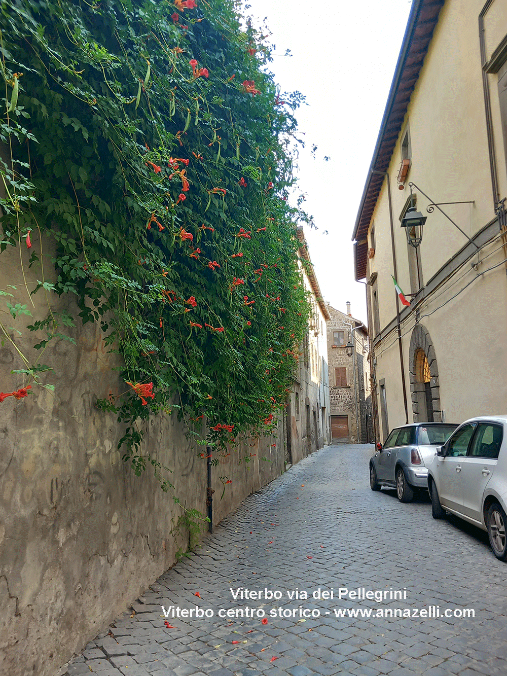 via dei pellegrini viterbo centro storico info e foto anna zelli