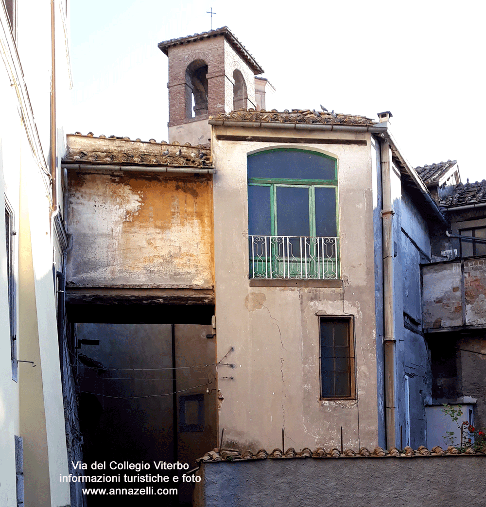 via del collegio viterbo centro storico info e foto anna zelli