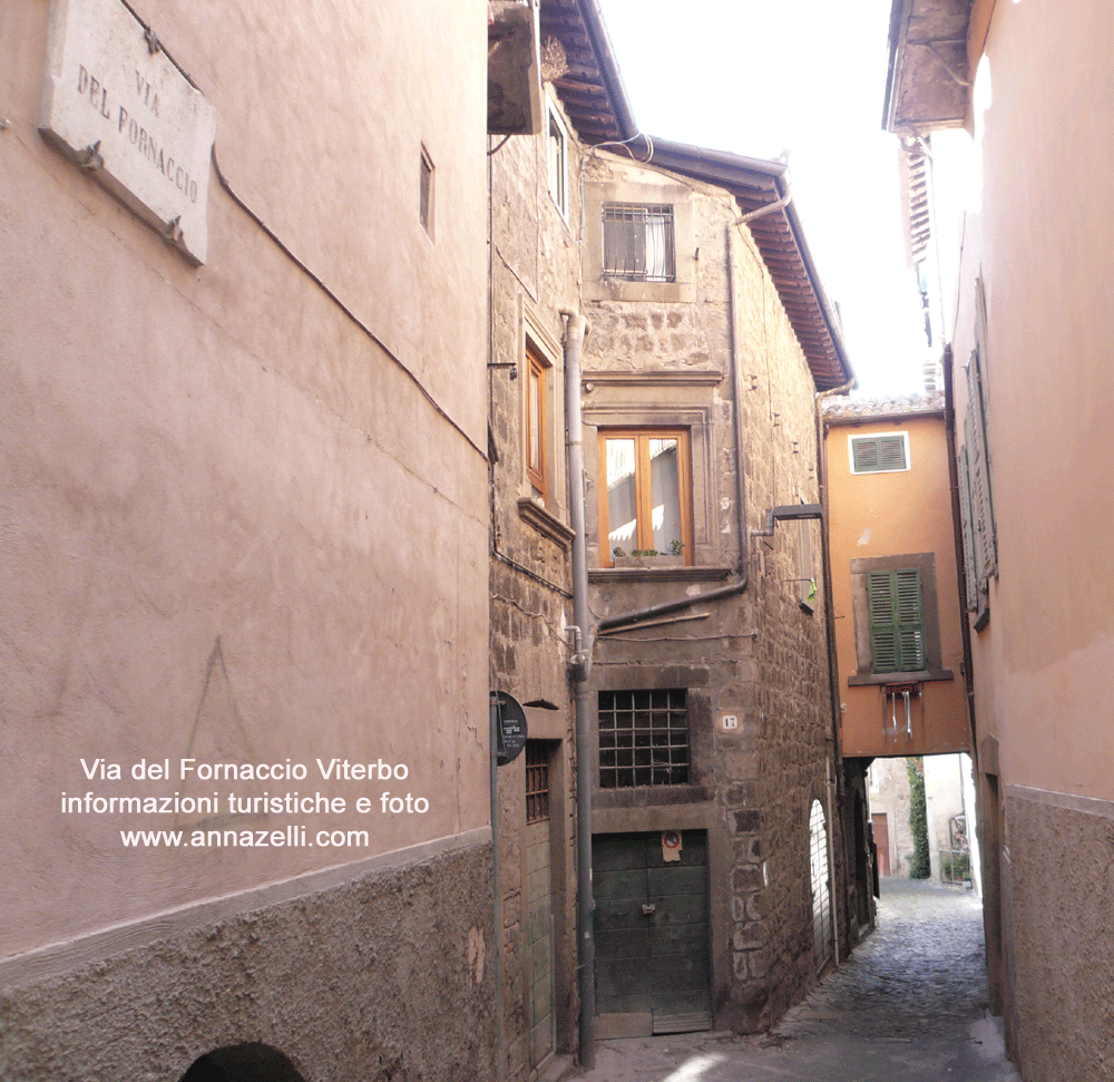 via del fornaccio viterbo centro storico foto anna zelli