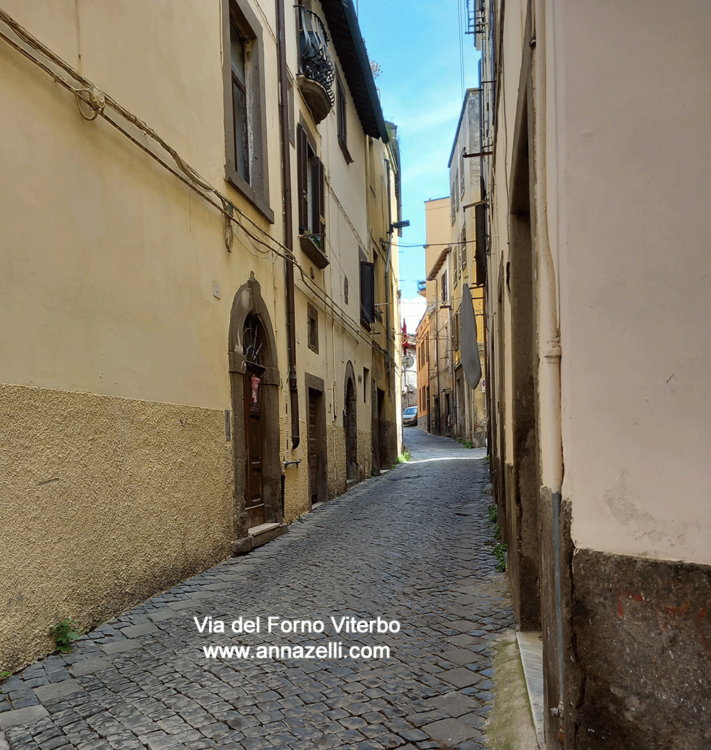 via del forno viterbo centro storico info foto anna zelli