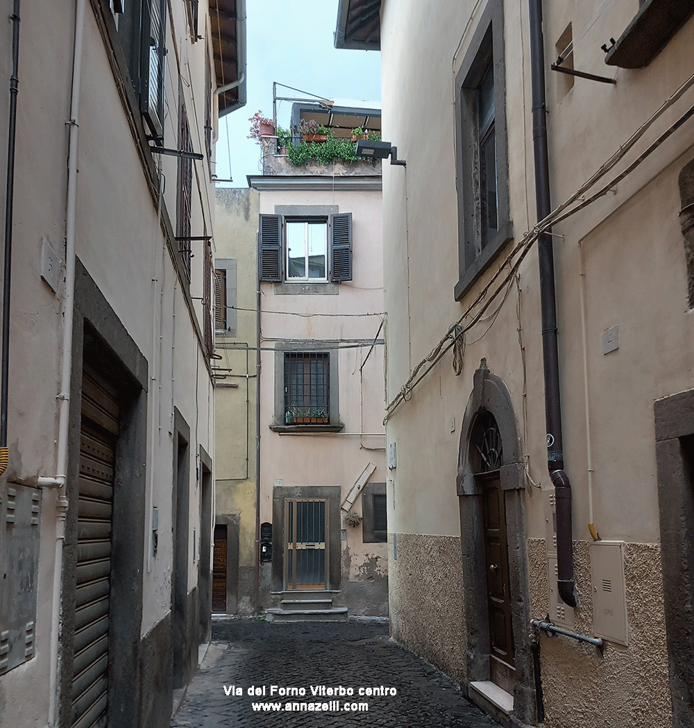 via del forno viterbo centro storico info e foto anna zelli