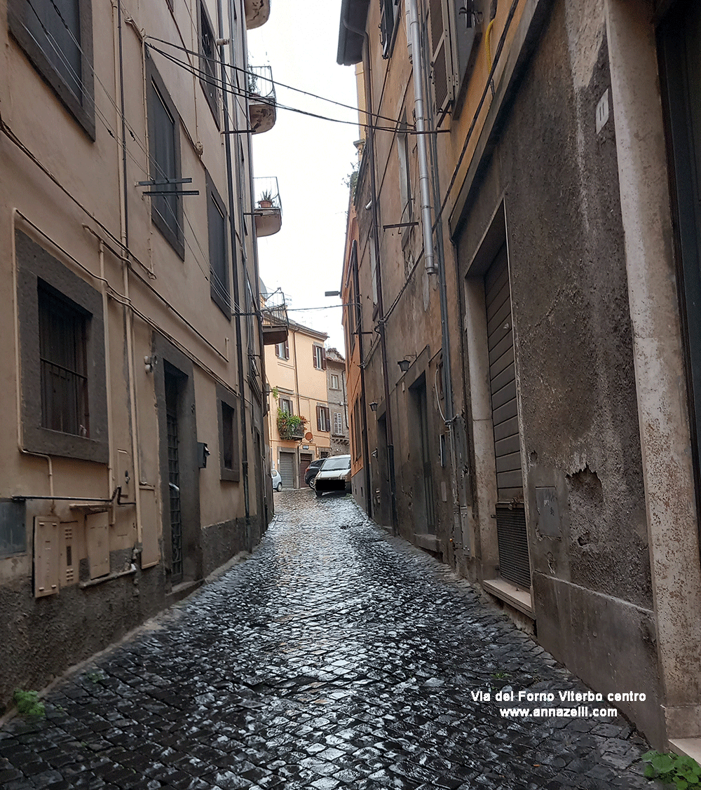 via del forno viterbo centro storico info e foto anna zelli