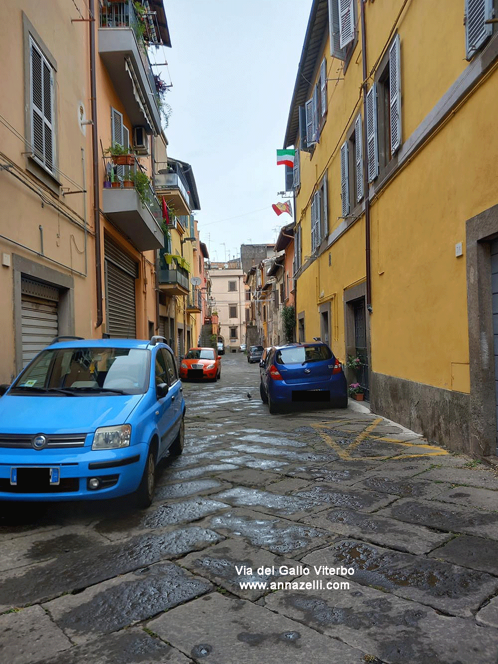 via del gallo viterbo centro storico info e foto anna zelli