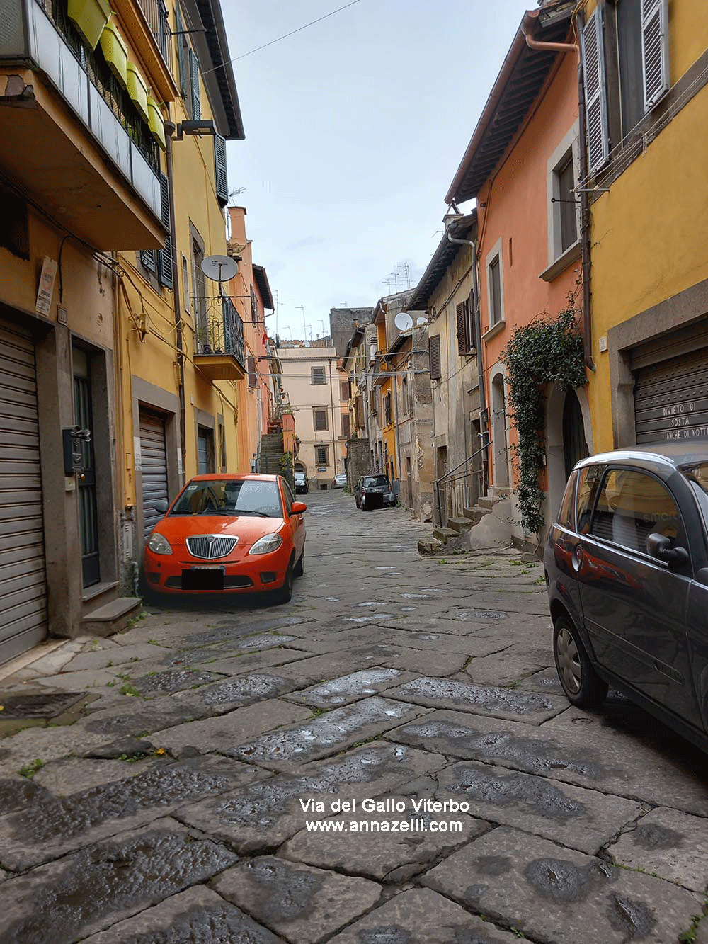 via del gallo viterbo centro storico info e foto anna zelli