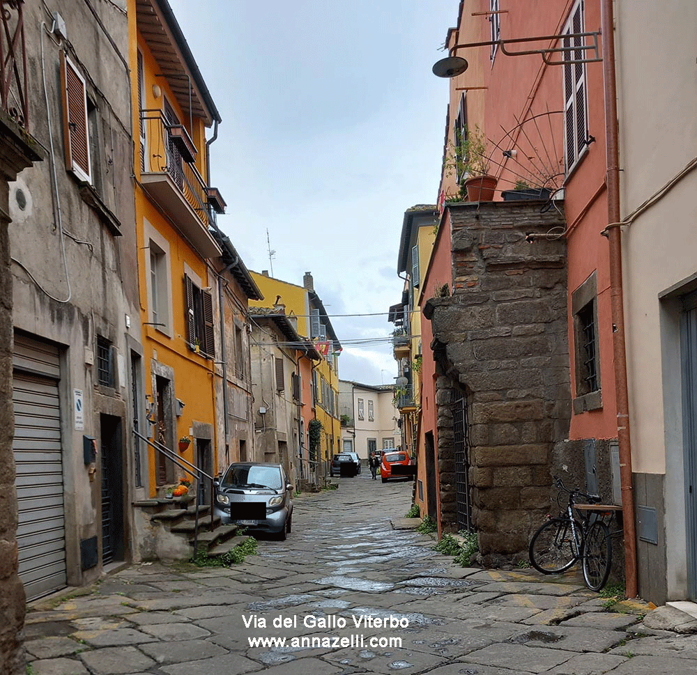 via del gallo viterbo centro storico info e foto anna zelli