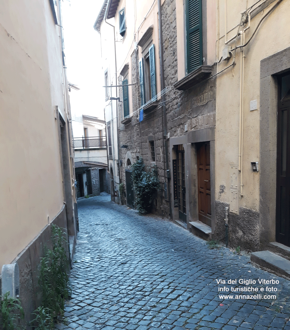 via del giglio viterbo centro traversa via mazzini info e foto