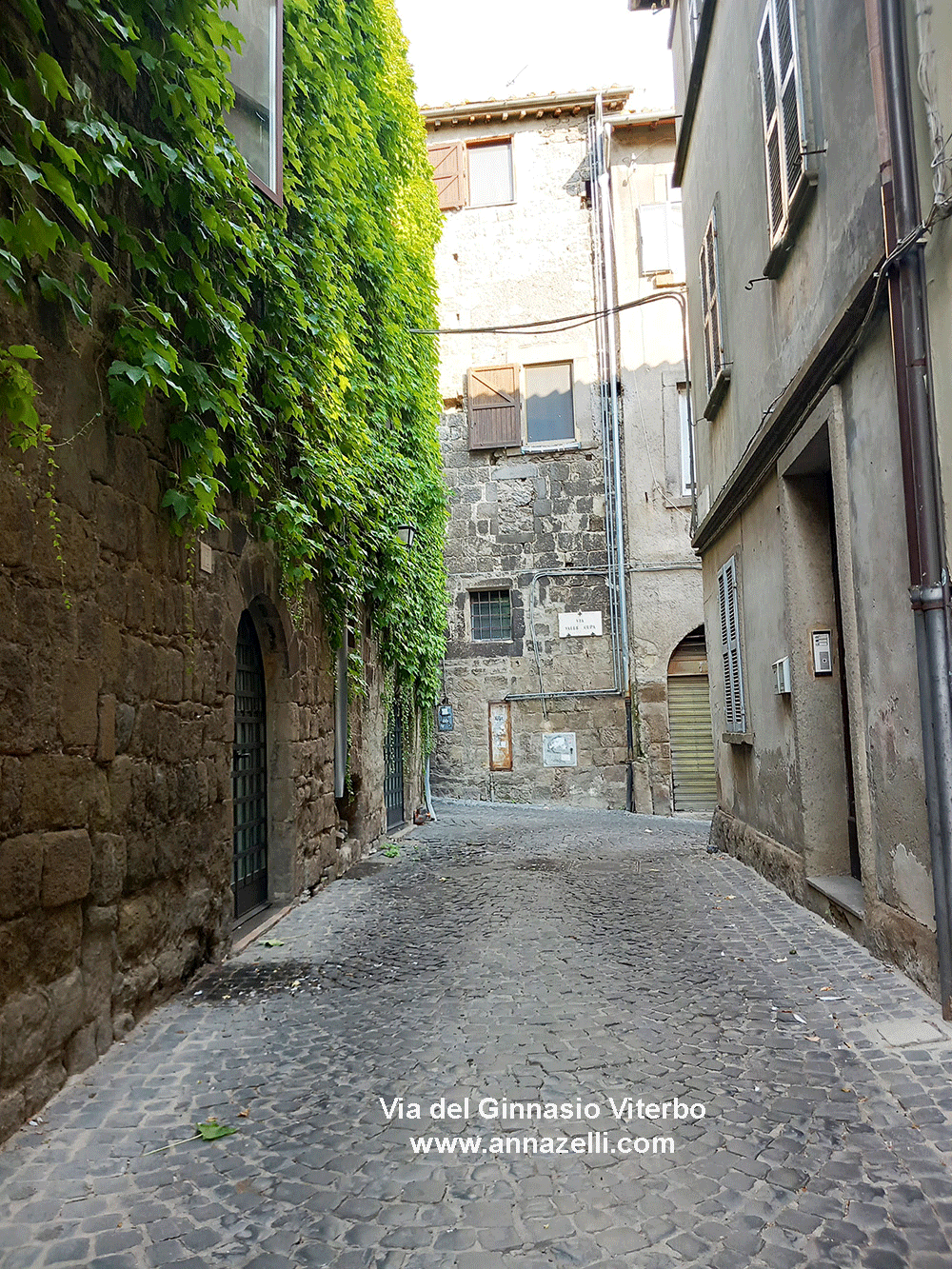 via del ginnasio viterbo centro info e foto anna zelli 