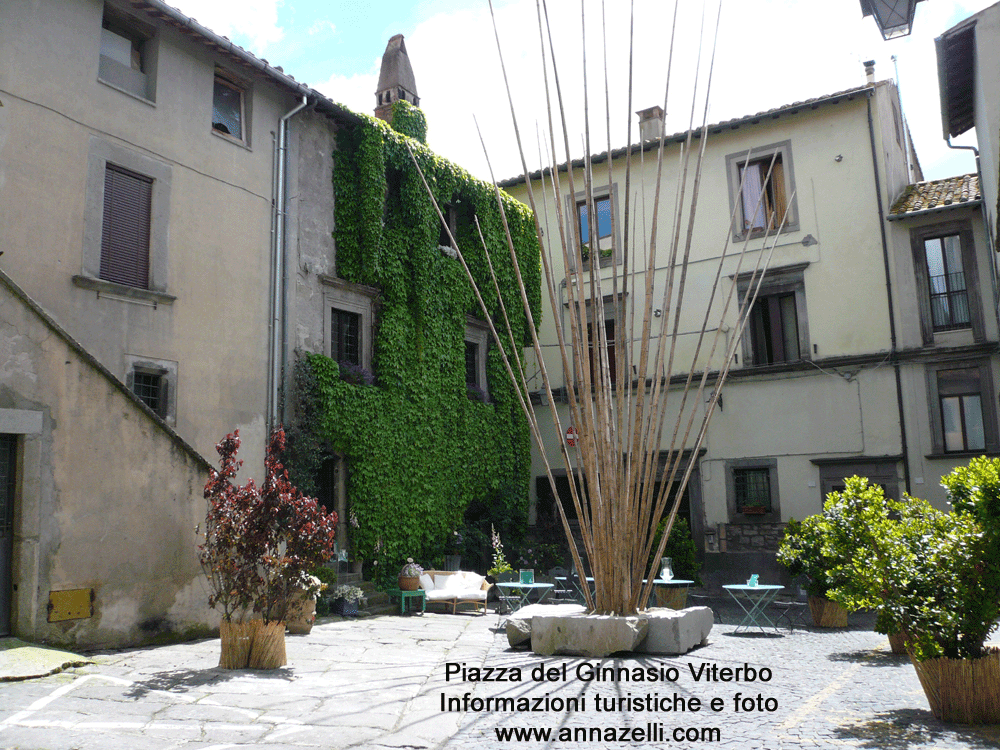 piazza del ginnasio viterbo foto anna zelli