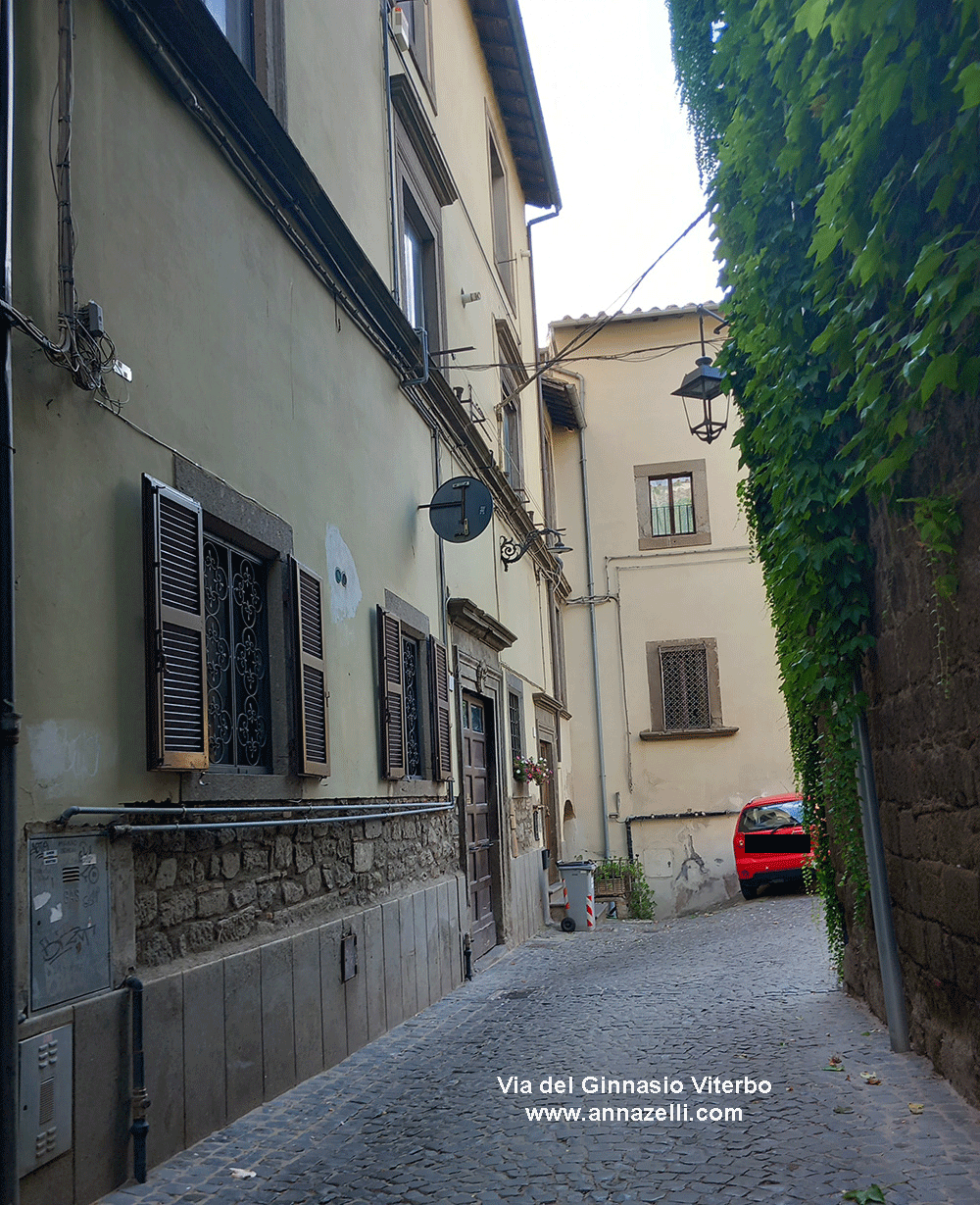 via del ginnasio viterbo centro info e foto anna zelli