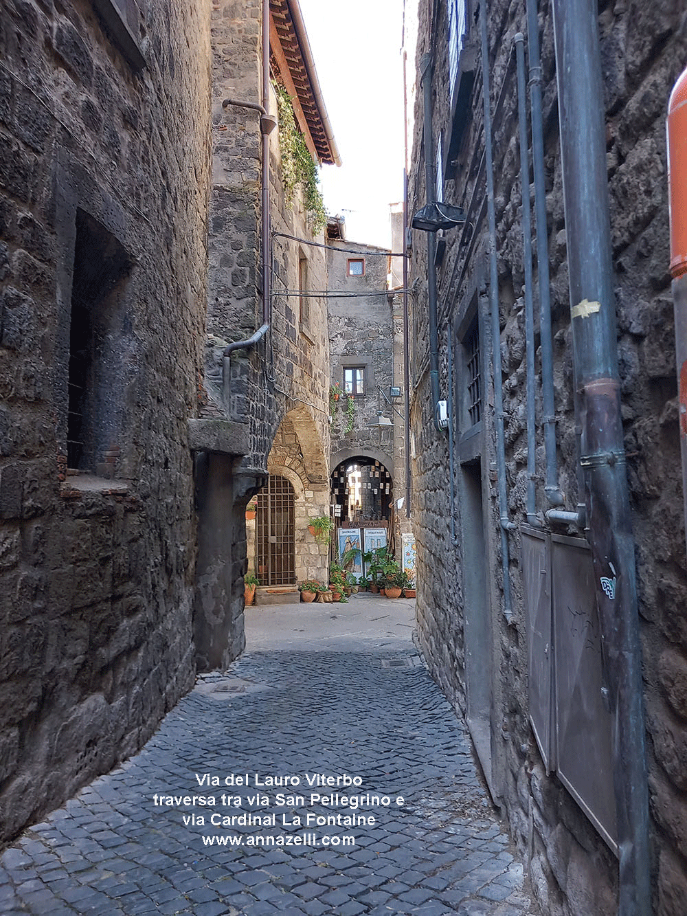 via del lauro viterbo informazioni e foto anna zelli