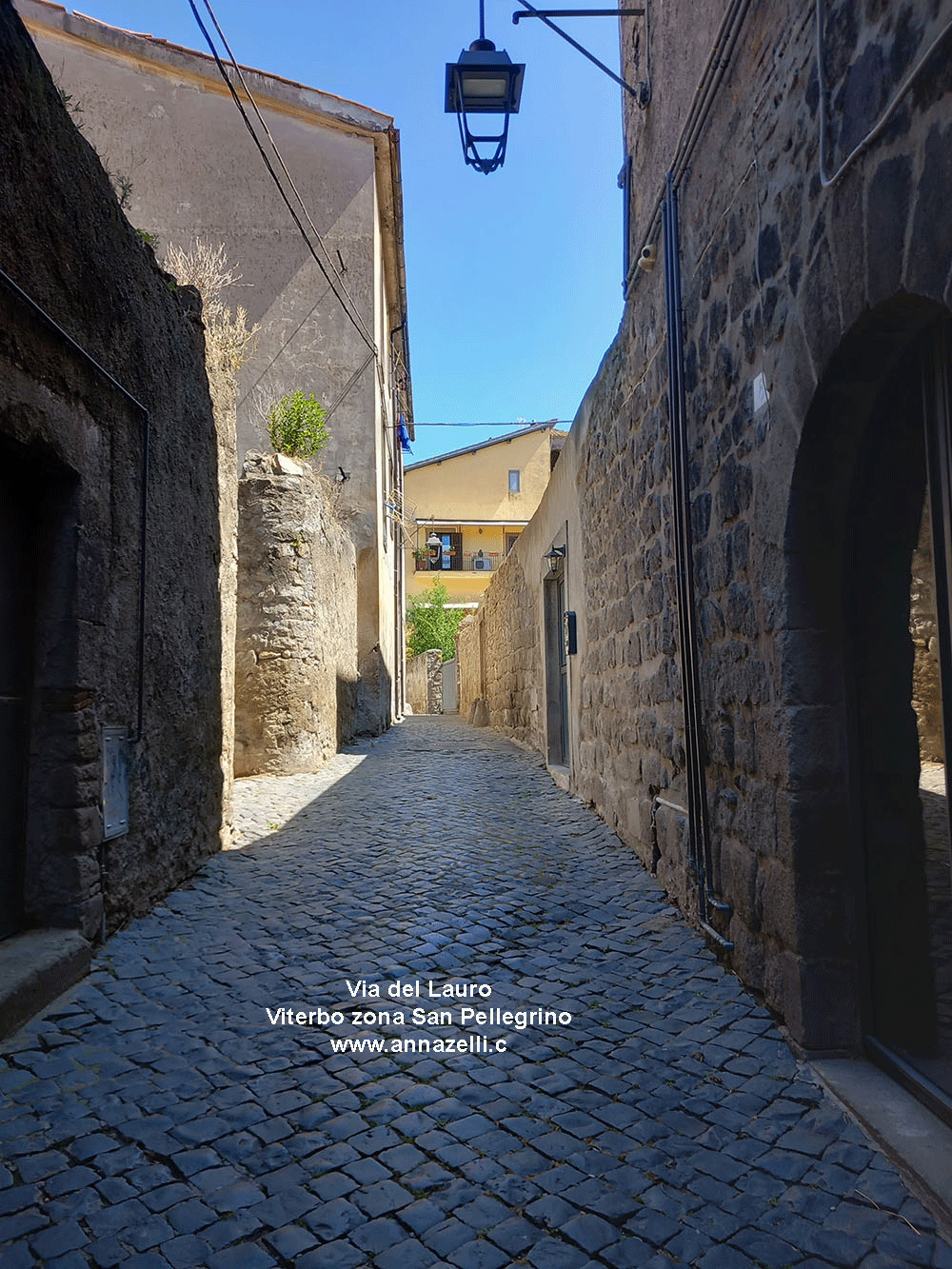 via del lauro viterbo informazioni e foto anna zelli