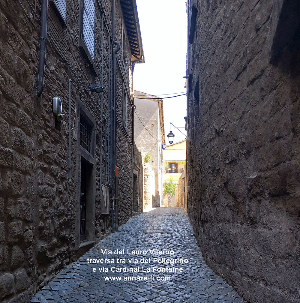 via del lauro viterbo informazioni e foto anna zelli