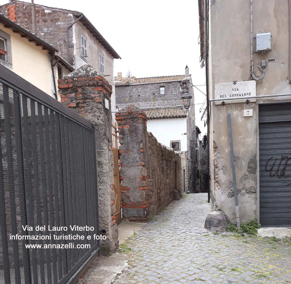 via del lauro viterbo informazioni e foto anna zelli