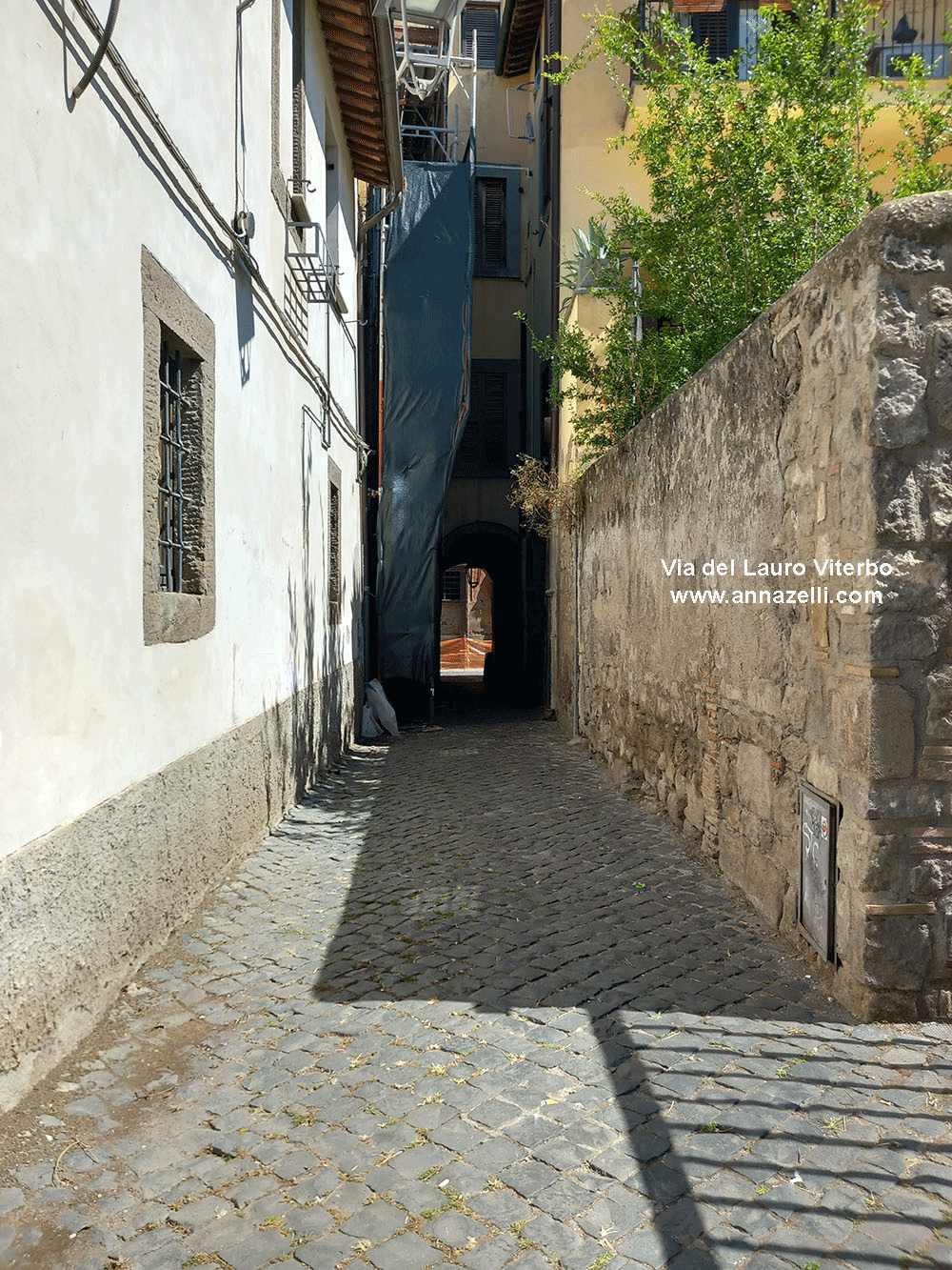 via del lauro viterbo informazioni e foto anna zelli