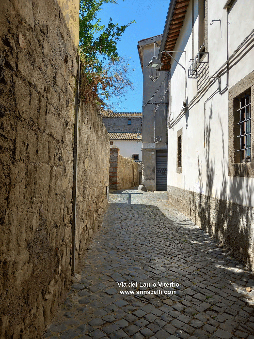 via del lauro viterbo informazioni e foto anna zelli