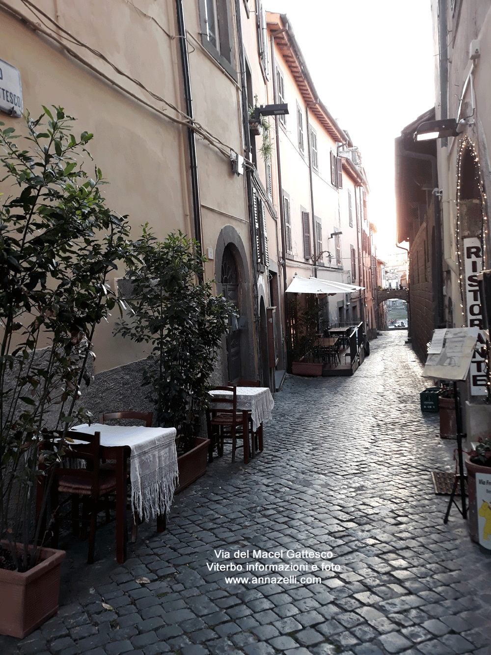 via del macel gattesco viterbo centro storico info e foto anna zelli