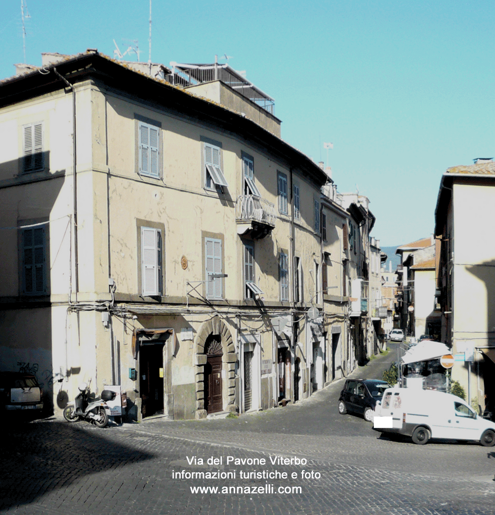 via del pavone viterbo centro storico info e foto anna zelli