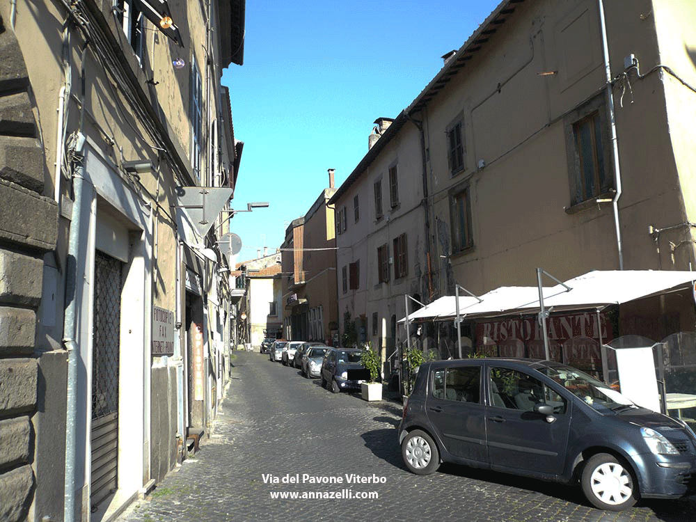 via del pavone viterbo centro storico info e foto anna zelli