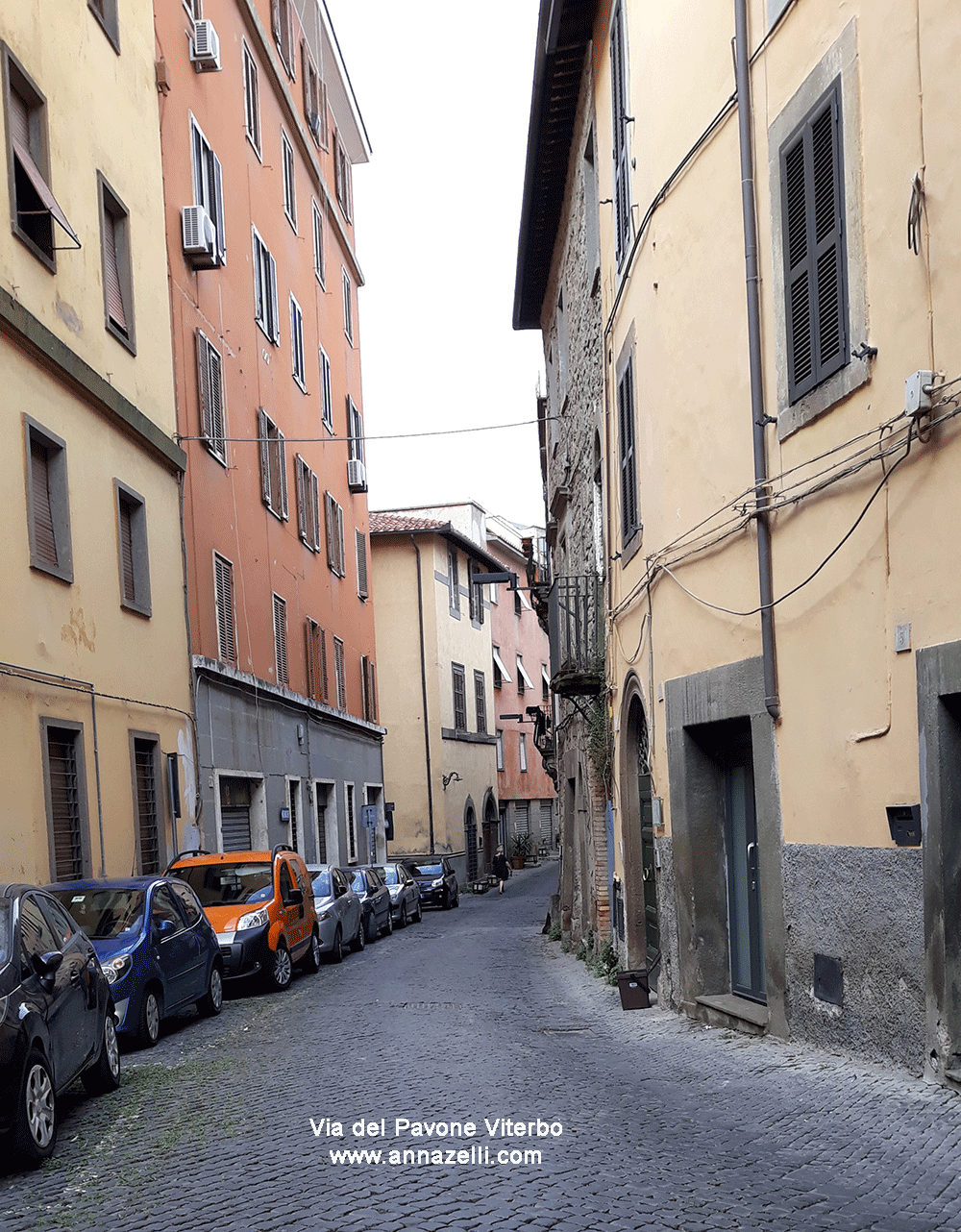 via del pavone viterbo info e foto anna zelli