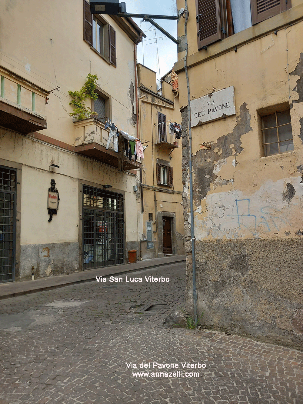 via del pavone viterbo centro info e foto anna zelli