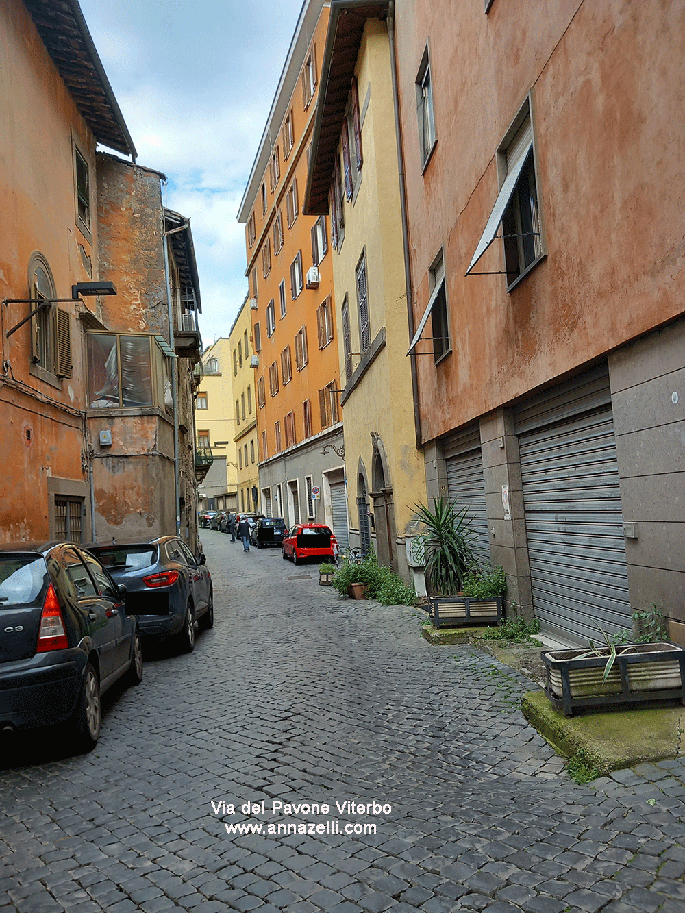 via del pavone viterbo centro info e foto anna zelli