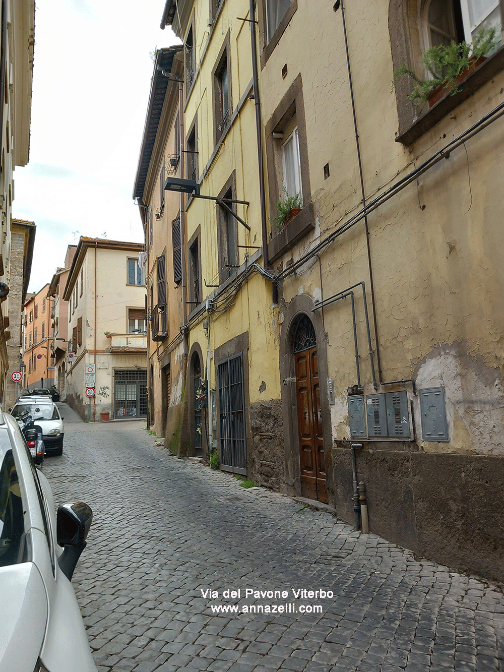 via del pavone viterbo centro info e foto anna zelli