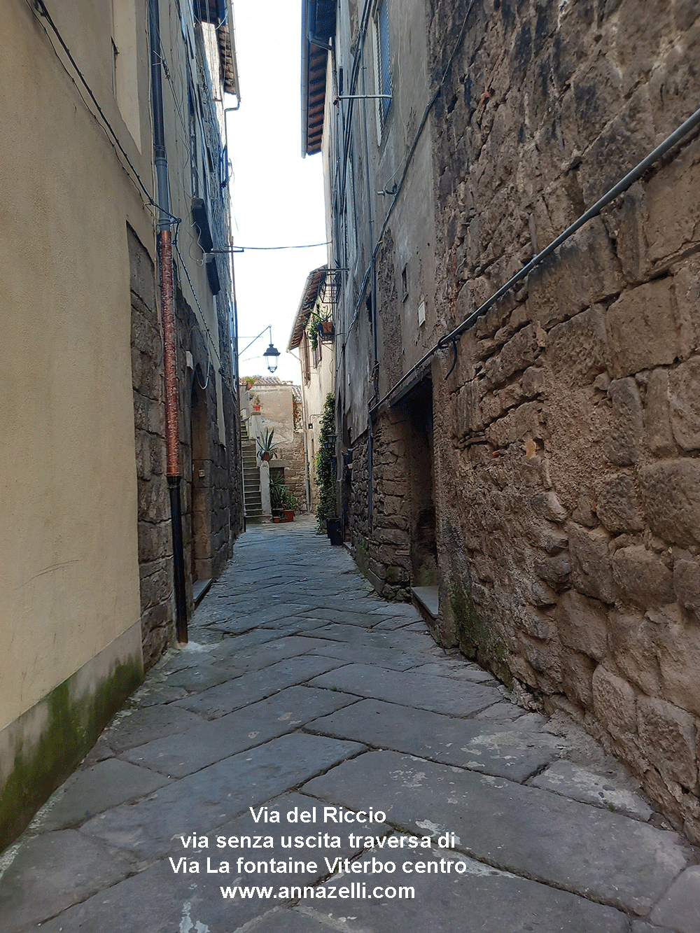 via del riccio viterbo centro storico informazioni e foto anna zelli