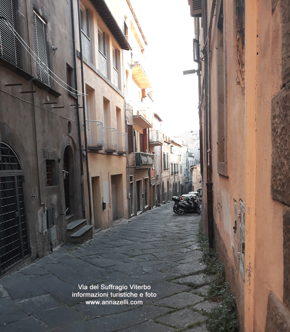 via del suffragio viterbo centro info e foto anna zelli