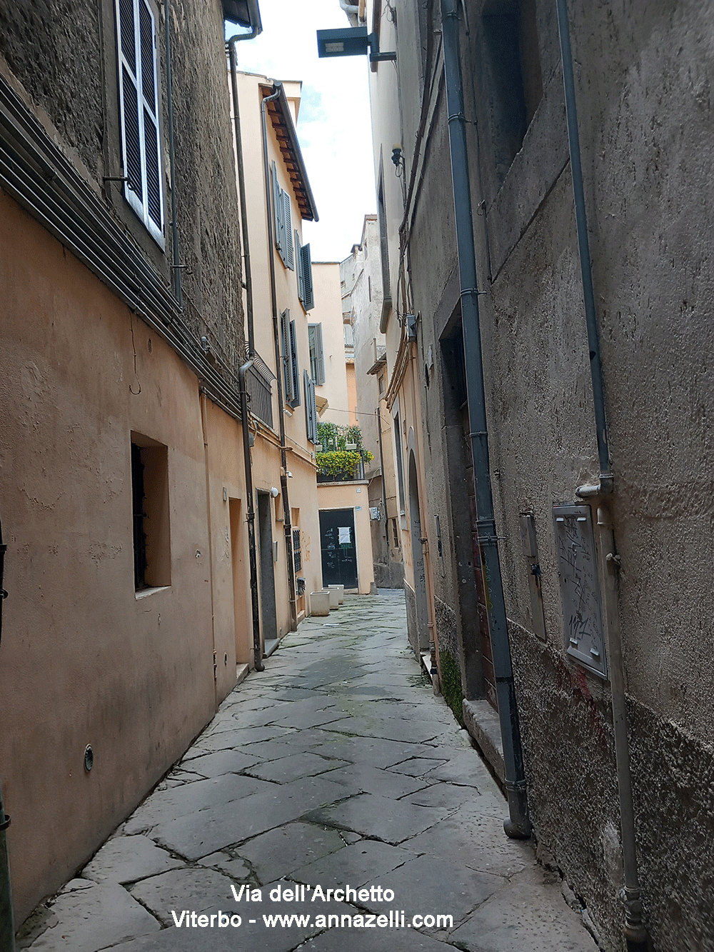 via dell'archetto viterbo info e foto anna zelli