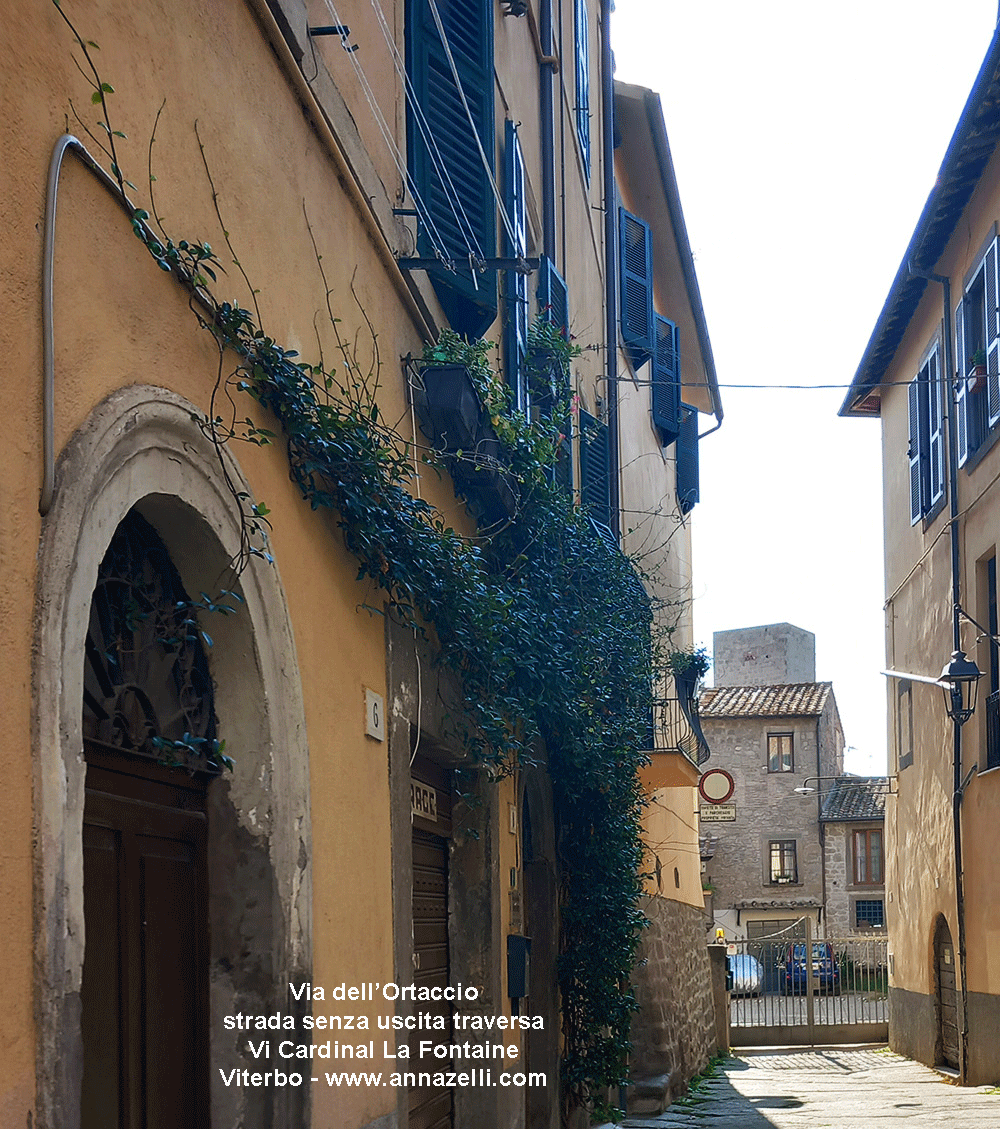 via dell'ortaccio viterbo centro storico info e foto anna zelli