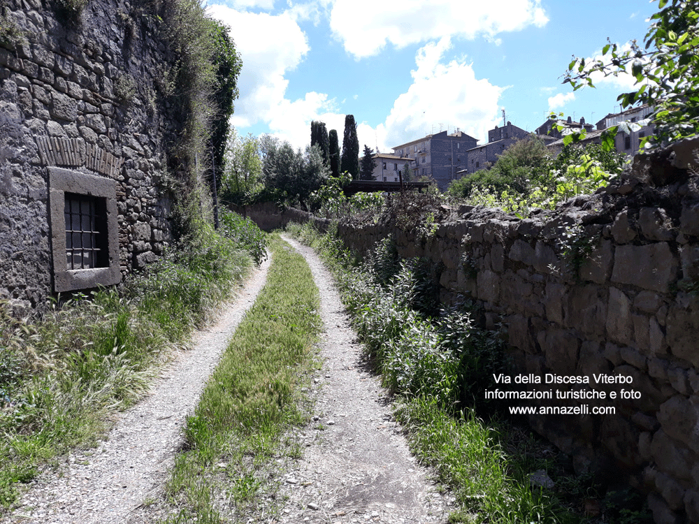 via della discesa viterbo pianoscarano info e foto anna zelli