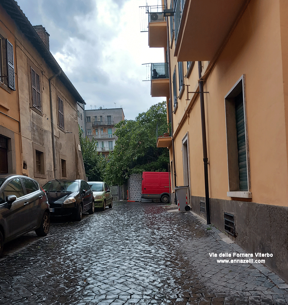 via della fornara viterbo centro storico info e foto anna zelli