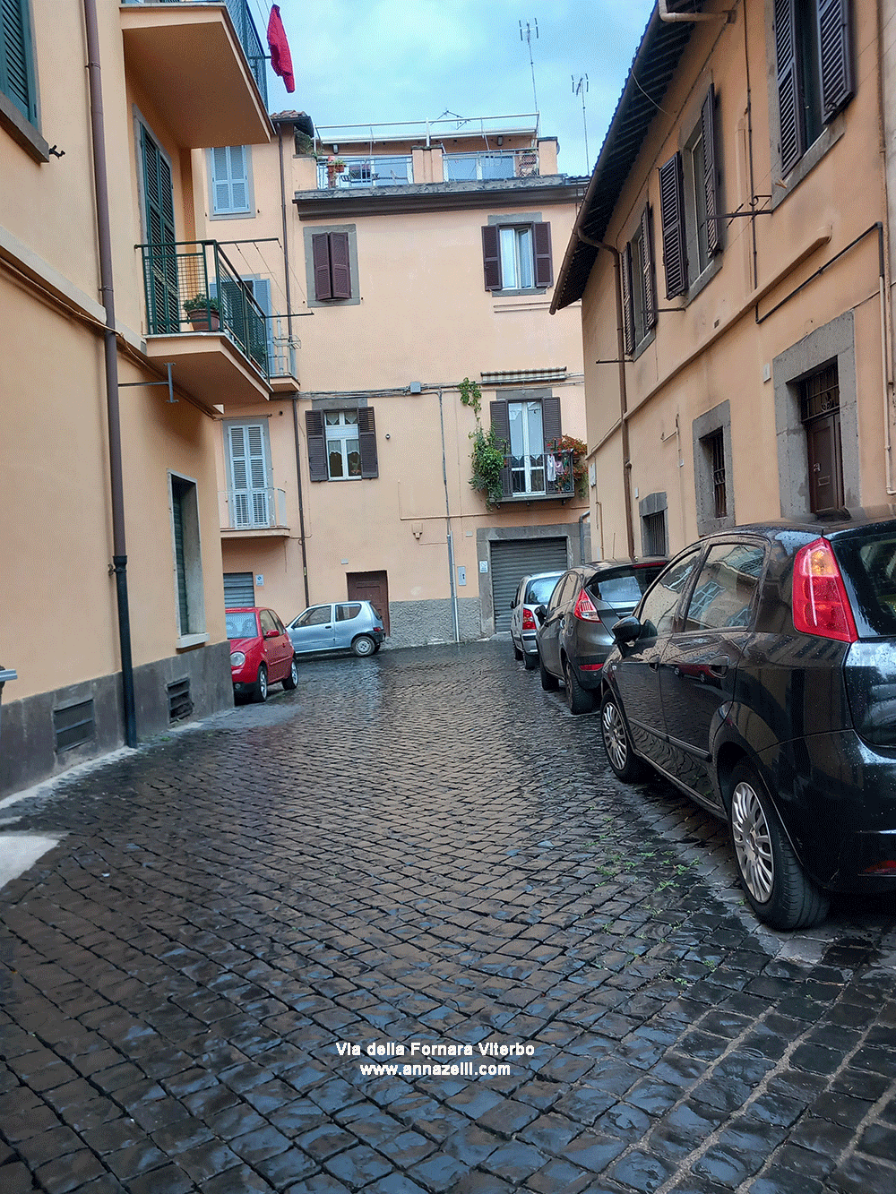 via della fornara viterbo centro storico info e foto anna zelli