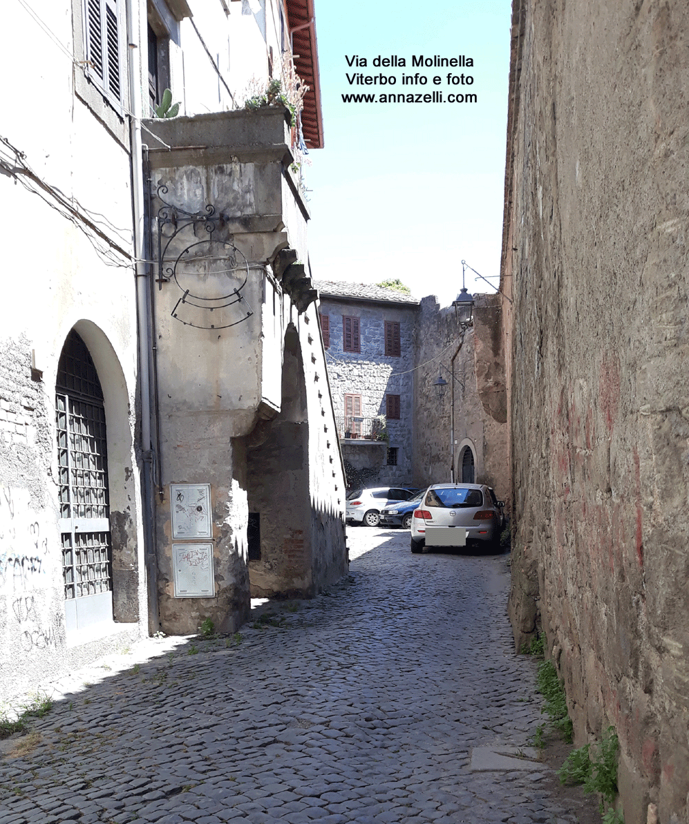 via della molinella viterbo centro storico info e foto anna zelli