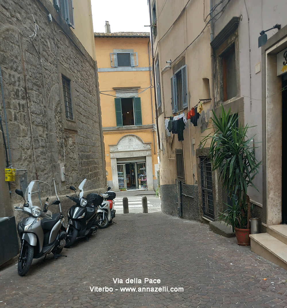 via della pace viterbo info e foto anna zelli