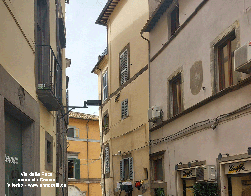 via della pace viterbo centro storico info e foto anna zelli